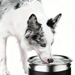 Gardner Pet Stainless Steel Dog Bowls-0