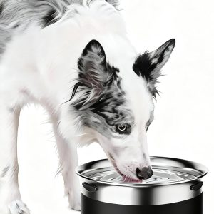Gardner Pet Stainless Steel Dog Bowls-0