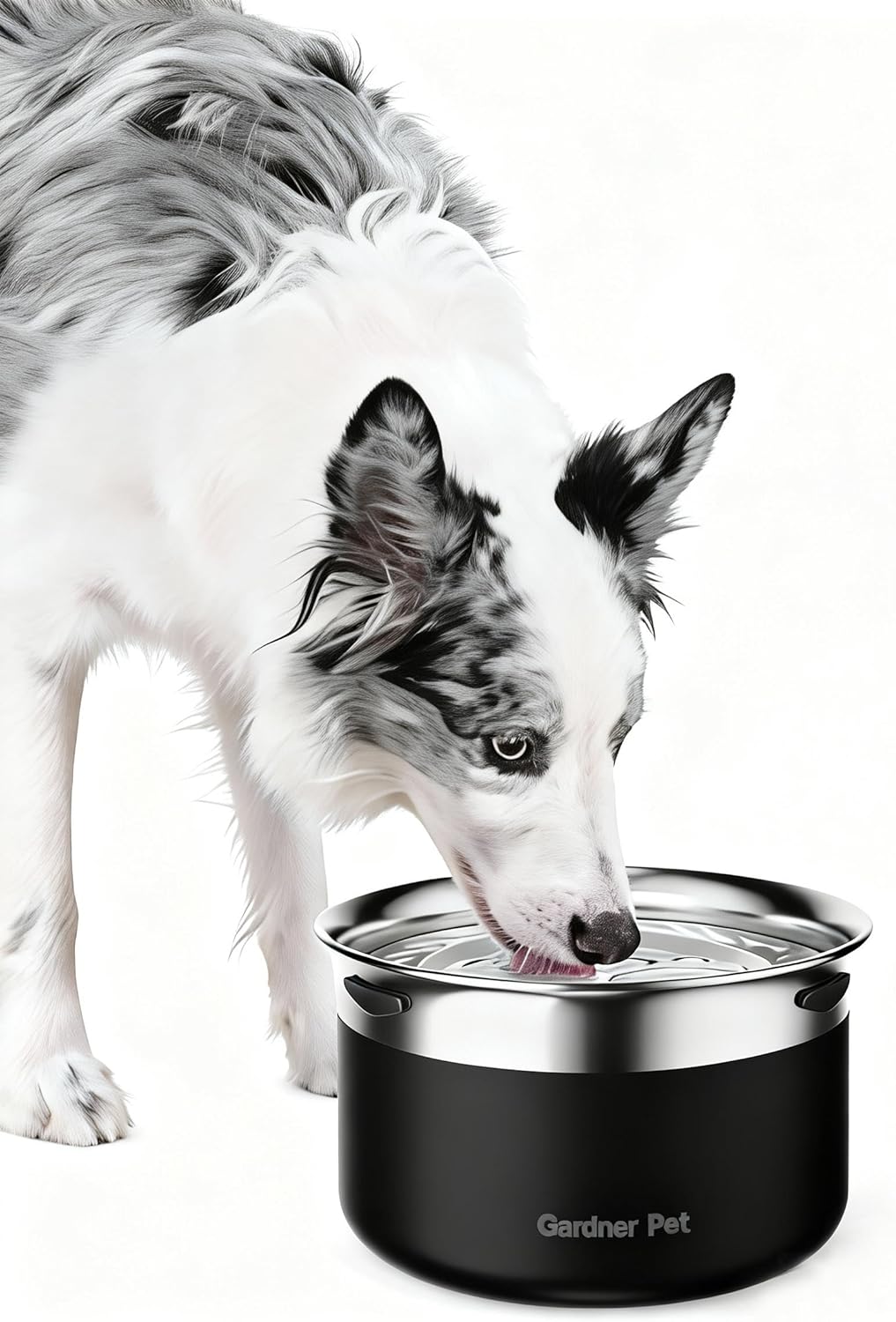 Stainless Steel Dog Bowls