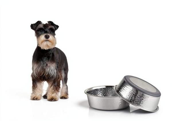 URBUDDIES Stainless Steel Dog Bowls-1