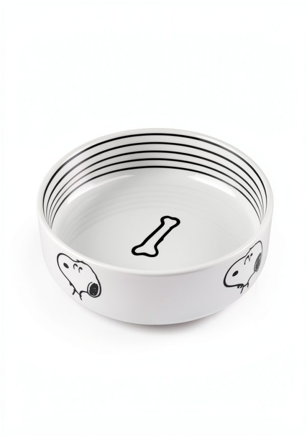 Peanuts Stoneware Pet Bowl by Gibson Overseas-1