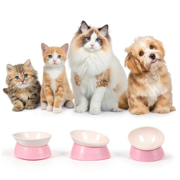 JWPC Bulldog Bowl Pet Supplies Ceramic Dog Bowls-1