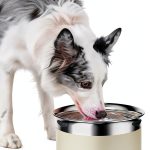Gardner Pet Stainless Steel Dog Bowl Large 3.85L Slow Feeder-0