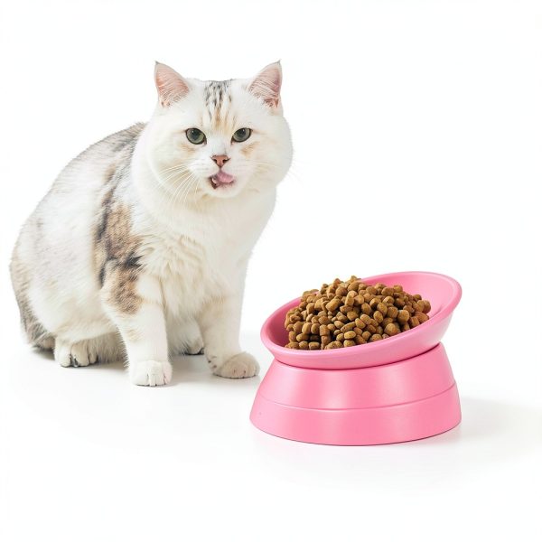 JWPC Bulldog Bowl Pet Supplies Ceramic Dog Bowls-2