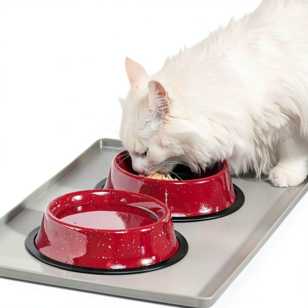 Neater Pet Brands Stainless Steel Dog Bowls-2