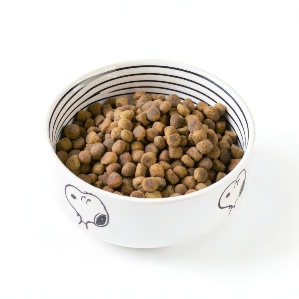 Peanuts Stoneware Pet Bowl by Gibson Overseas-5