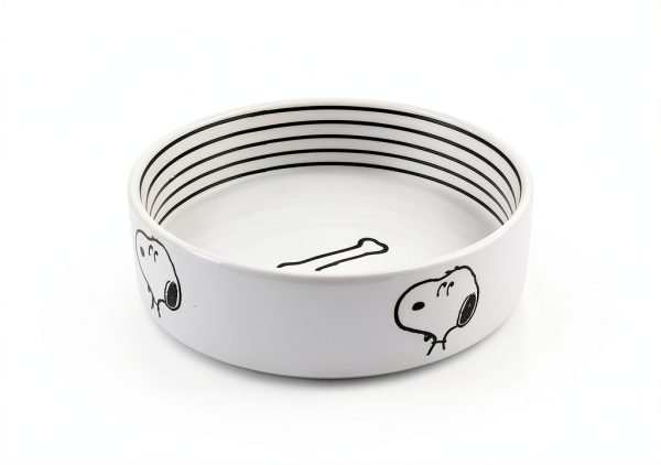 Peanuts Stoneware Pet Bowl by Gibson Overseas-2
