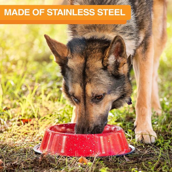 Neater Pet Brands Stainless Steel Dog Bowls-3