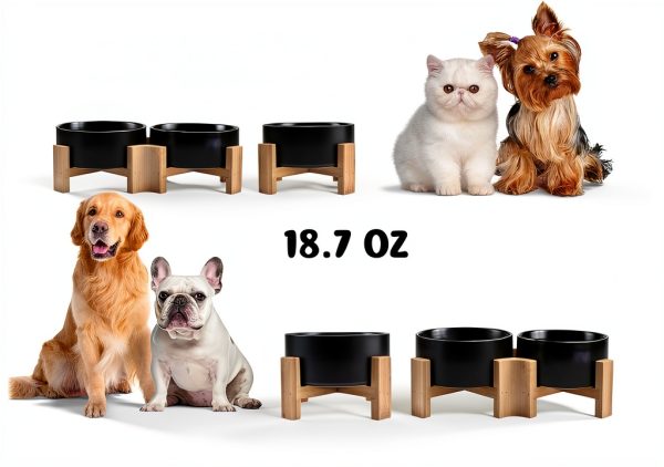 Tilted Dog Bowl SPUNKYJUNKY Ceramic 15deg Design-1