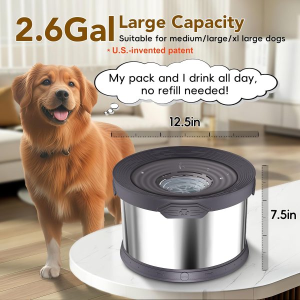 Stainless Steel Dog Bowl UPSKY Anti Spill-1