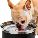 Gardner Pet Stainless Steel Dog Water Bowl Large 3.85L White-0