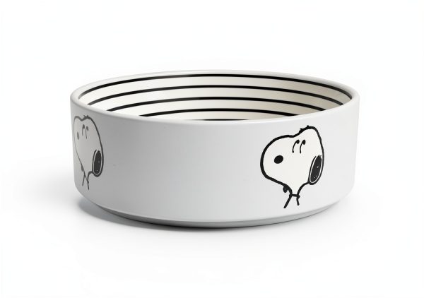 Peanuts Stoneware Pet Bowl by Gibson Overseas-3